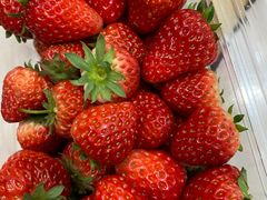 -鲜户(名仕花园店)