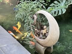 -漫笙舍Manse·咖啡·民宿
