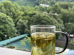 龙井茶-阿巧茶庄