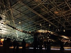 -世界恐龙谷景区