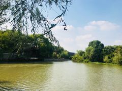 -八大山人梅湖景区