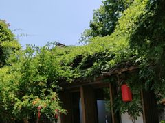 -鲤院·新中式美学·庭院餐厅(夫子庙店)