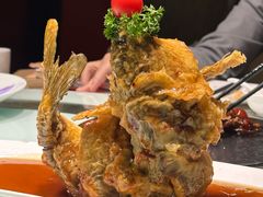 糖醋黄金鲤鱼-城南往事·鲁菜济南菜(软件园美莲广场店)