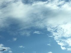 -正德顺順德雙皮奶(中信店)
