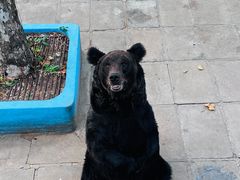 -西霞口神雕山野生动物世界