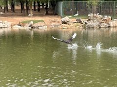 -鄂尔多斯野生动物园