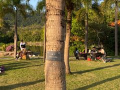 -深圳仙湖植物园