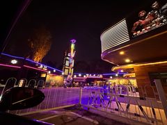 -枫花园汽车电影院(朝阳公园店)