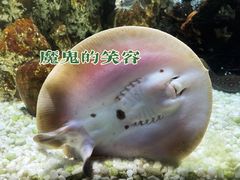 -杭州海底世界