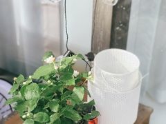 -角落低卡烘焙(正弘城店)