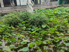 -珠海圆明新园