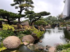 -罗红摄影艺术馆