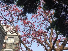 -黄埔古港