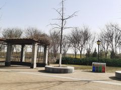 -永定河休闲森林公园