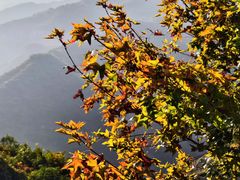-灵山