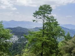 -九华山风景区