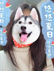 -镁连社·美联社