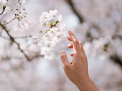 -龙美术馆(西岸馆)