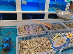 -丝路东方虾仁水饺(北京路二宫汇嘉店)