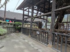 -燊海井