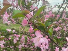 -广富林郊野公园