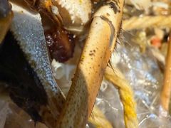 -太湖饭店玉兰厅(自助餐厅)