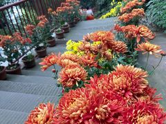 -乐山大佛风景名胜区乌尤寺南门-售票点