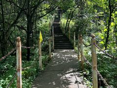 -陕西省红河谷森林公园