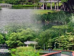 -四海公园(南山区)