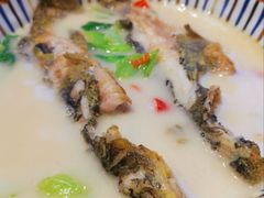 -鲜越鲜鱼粉(财富购物中心店)
