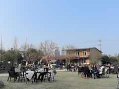 -洪湖家庭农场·团建·露营·会议