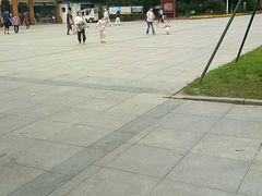 -荆州中山公园动物园