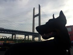 -锐擎卡丁车主题乐园(郊野公园店)