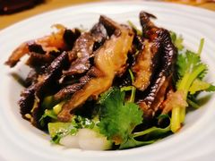 -新悦·霞浦海鲜生(上下杭店)