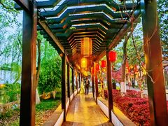 -山塘街