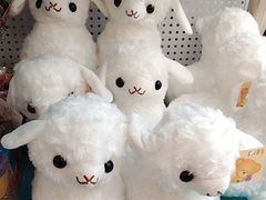 -哈啾嗨·蒙文化主题餐厅(京汉新城店)