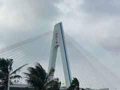 -万绿园
