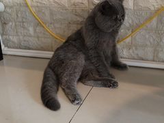 -平行世界·猫咖(首经贸店)