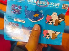 -烟台海昌鲸鲨海洋公园