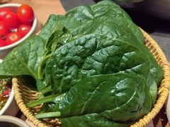 -巴奴毛肚火锅(龙湖锦艺城店)