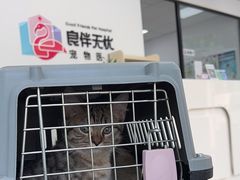 -良伴无忧宠物医院(泰欣嘉园店)