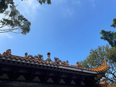 -深圳仙湖植物园