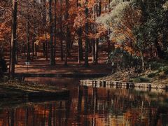 -上海共青森林公园