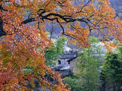 -塔川景区