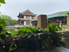 -MAP CHA普洱茶馆(翠湖店)