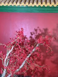 -盘子女人坊古装写真摄影(天津总店)