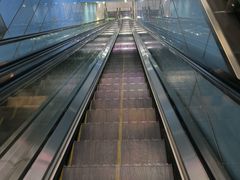 -大龙山(地铁站)