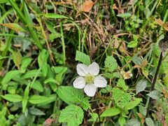 -宁波五龙潭景区