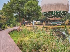 -西溪国家湿地公园