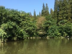 -崇明东平国家森林公园烧烤房车露营地